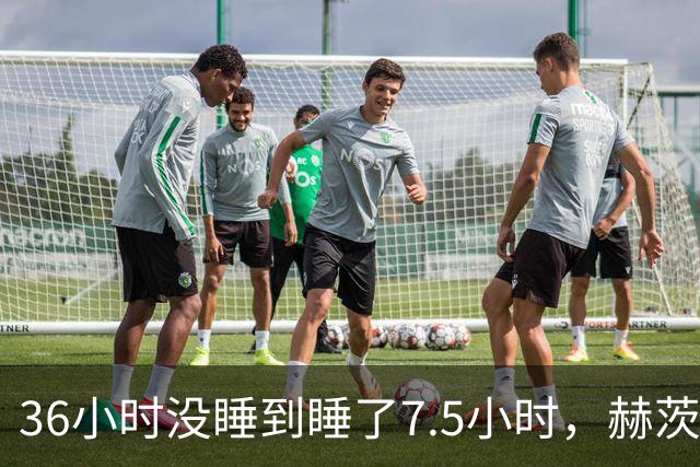 36小时没睡到睡了7.5小时，赫茨血栓风波报道一天内反转